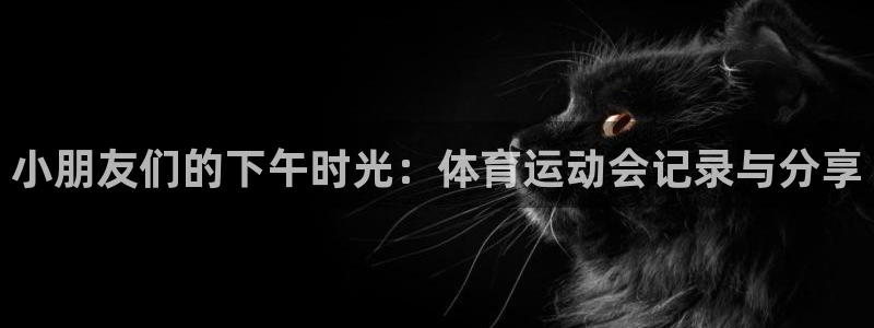 探球体育app官网下载