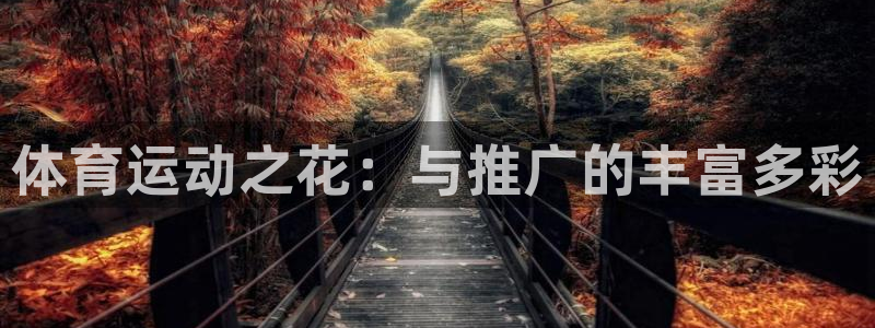 探球体育app：体育运动之花：与推广的丰富多彩