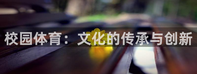 关键词：校园体育：文化的传承与创新