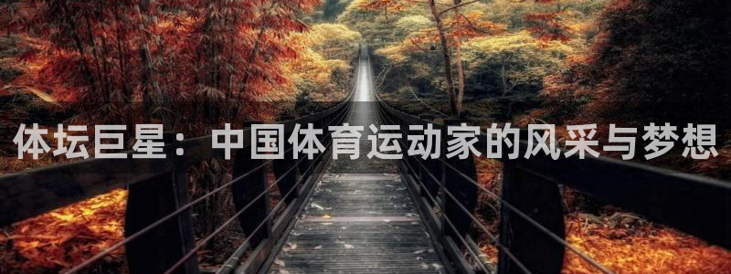 探球体育官网