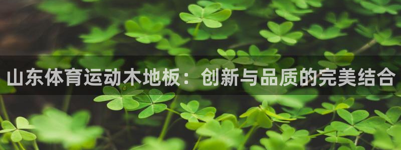 探球体育直播