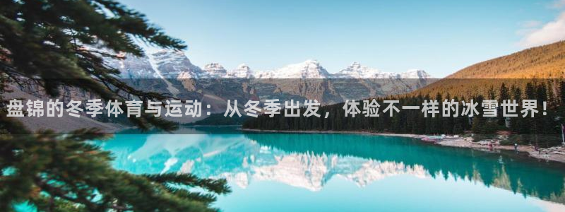 探球体育比分即时比分