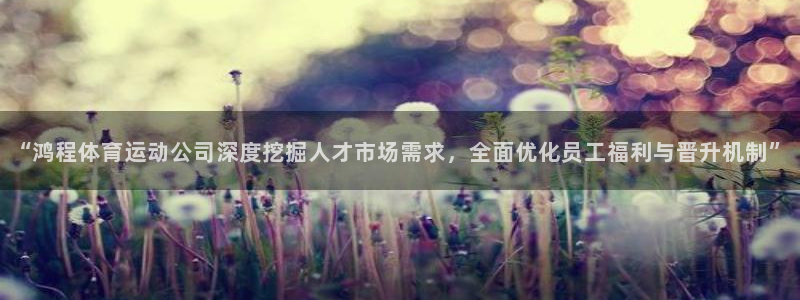 探球体育app官网下载