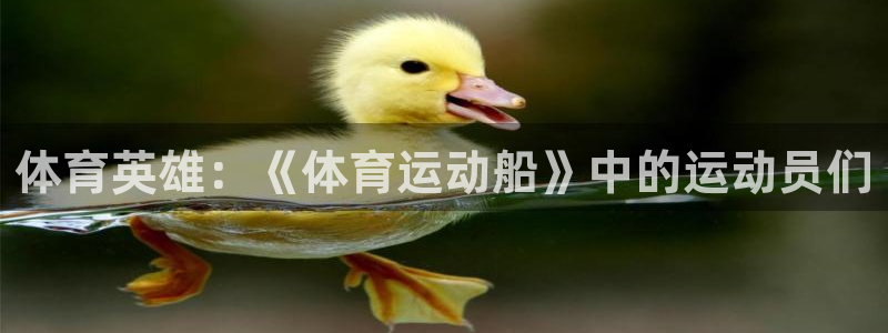 探球体育比分即时比分